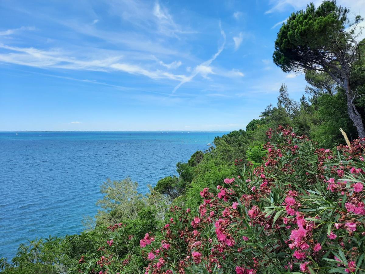 Agriturismo Ai Tre Sentieri Aurisina Εξωτερικό φωτογραφία