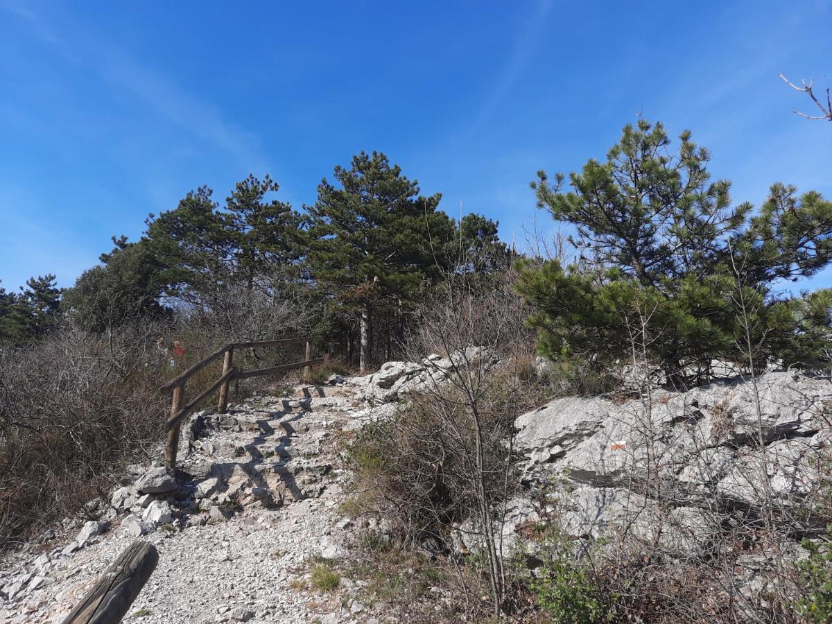 Agriturismo Ai Tre Sentieri Aurisina Εξωτερικό φωτογραφία