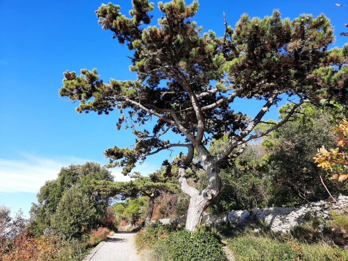 Agriturismo Ai Tre Sentieri Aurisina Εξωτερικό φωτογραφία